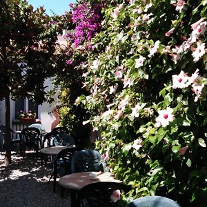 Mitus Spanje